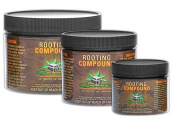 Ez Clone Rooting Compound 8 Oz