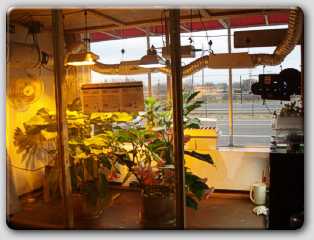 hydroponics store in Redding